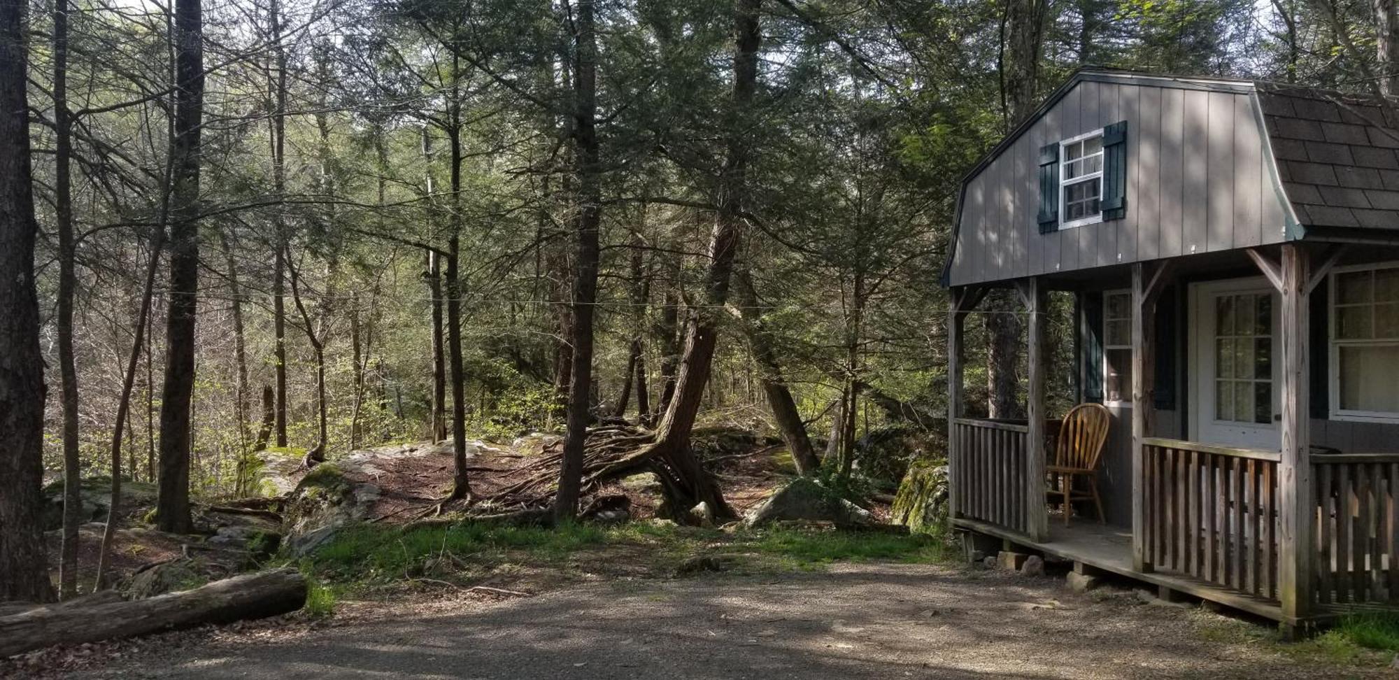 Abrams Creek Campground Mount Storm Ngoại thất bức ảnh