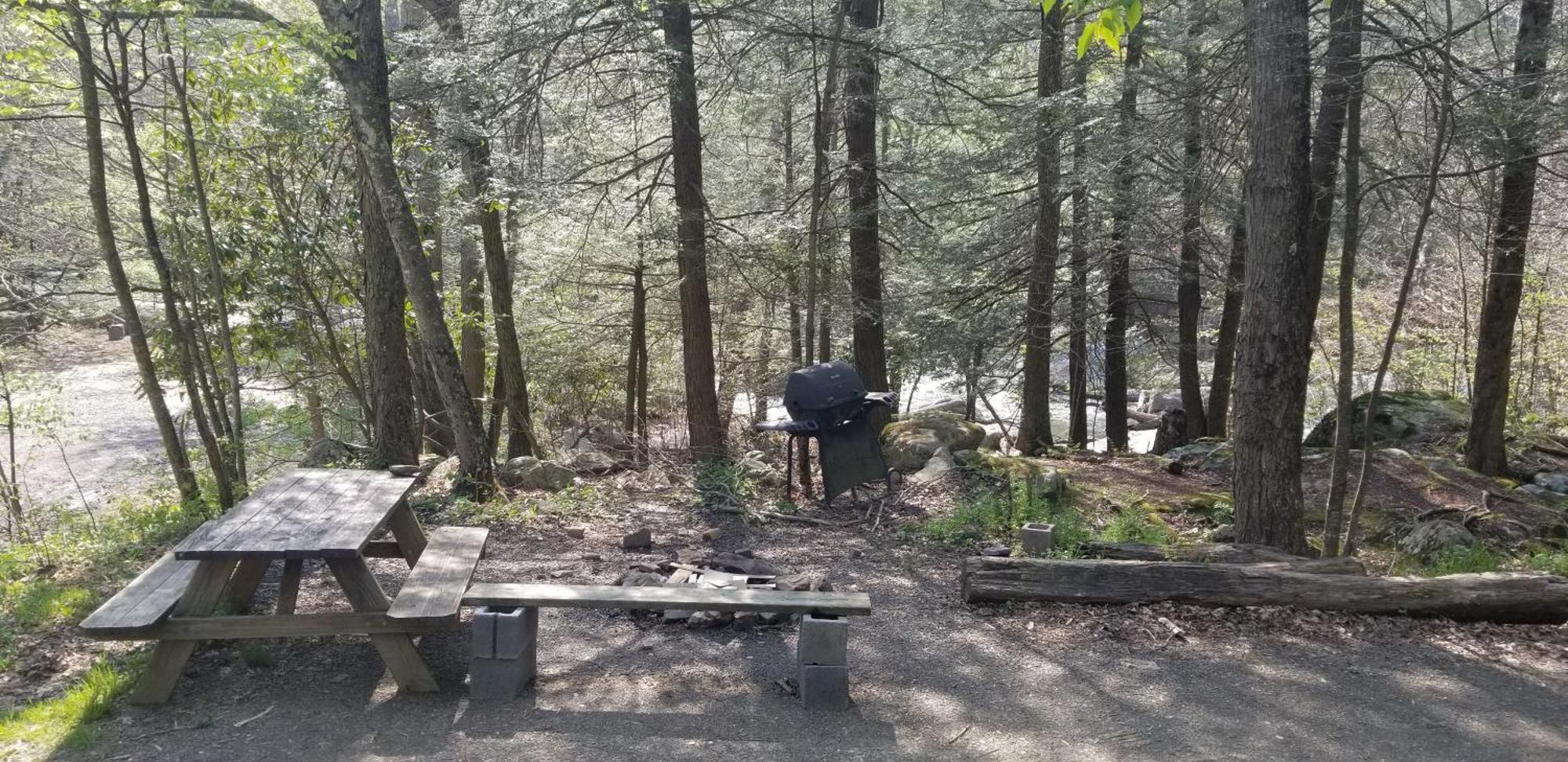 Abrams Creek Campground Mount Storm Ngoại thất bức ảnh
