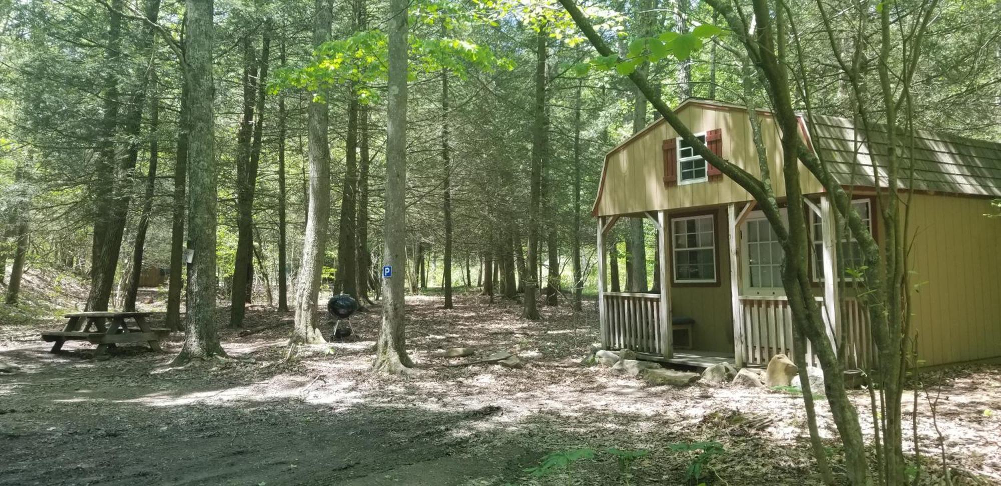 Abrams Creek Campground Mount Storm Ngoại thất bức ảnh