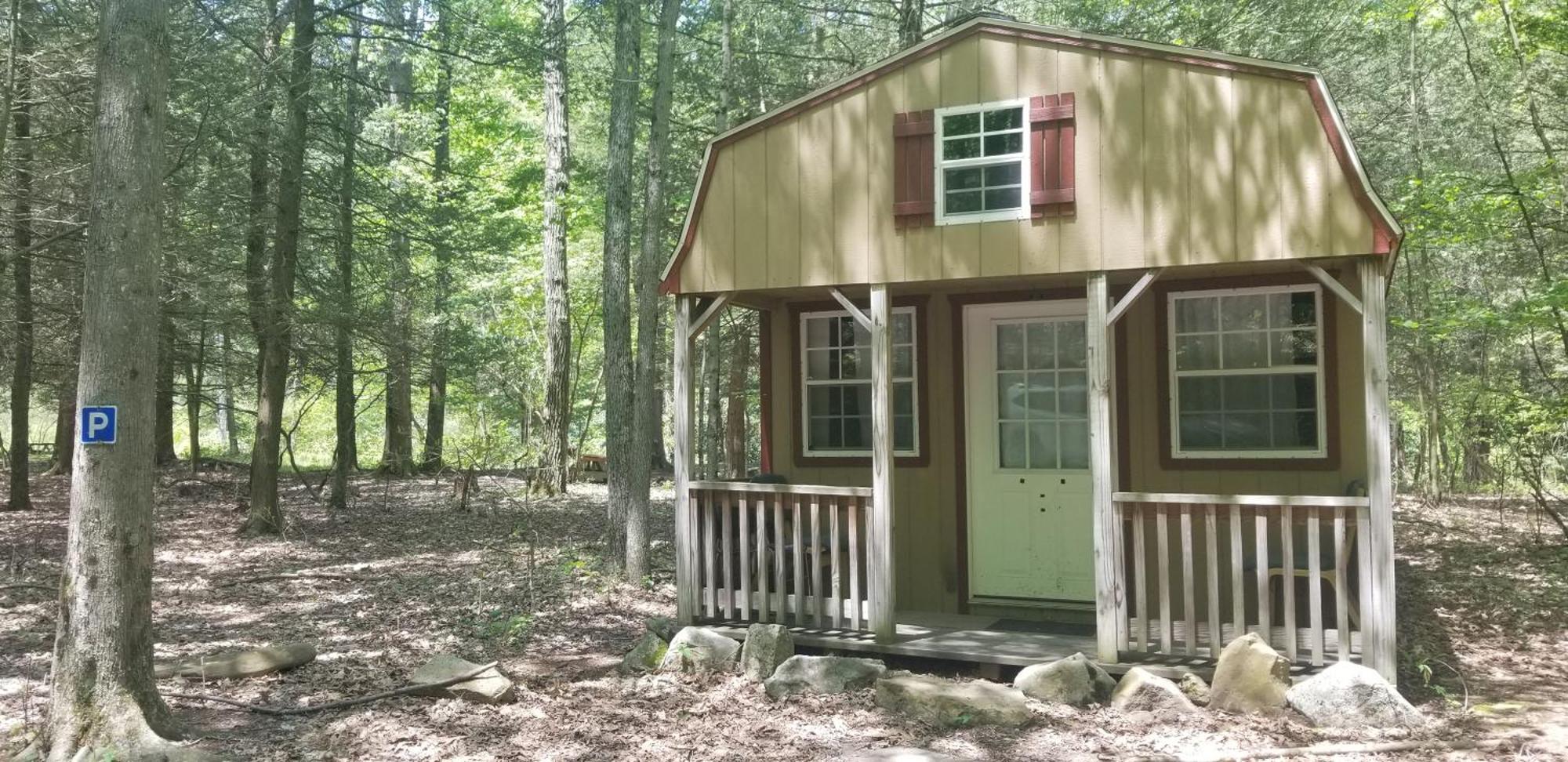 Abrams Creek Campground Mount Storm Ngoại thất bức ảnh