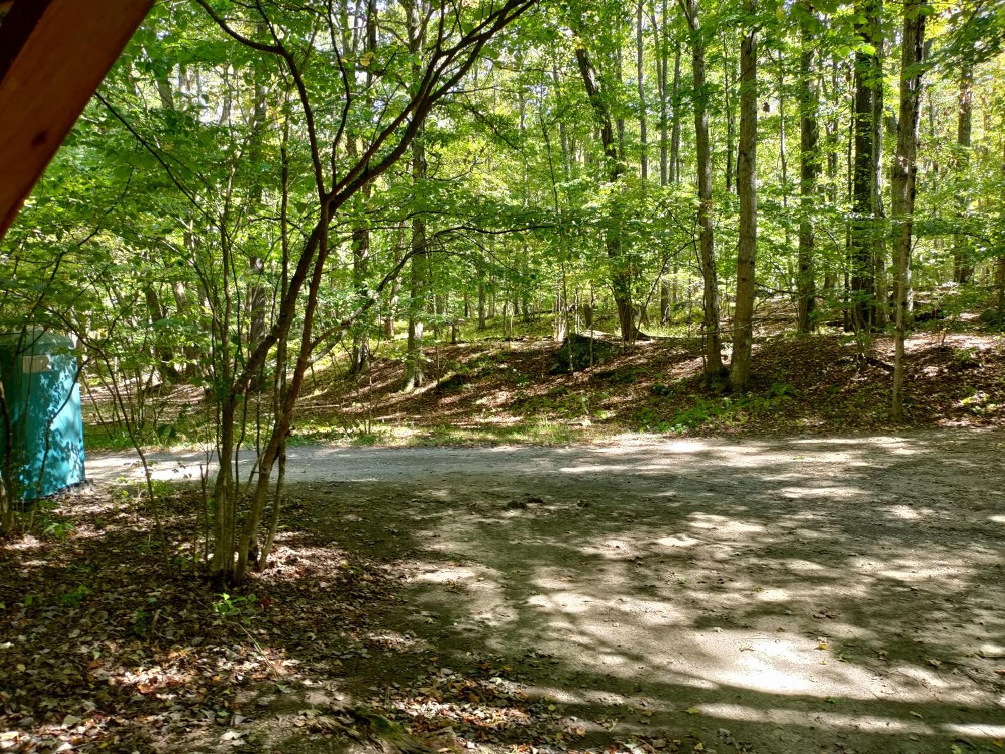 Abrams Creek Campground Mount Storm Ngoại thất bức ảnh