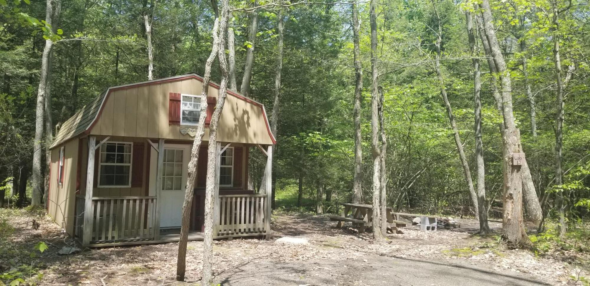 Abrams Creek Campground Mount Storm Ngoại thất bức ảnh