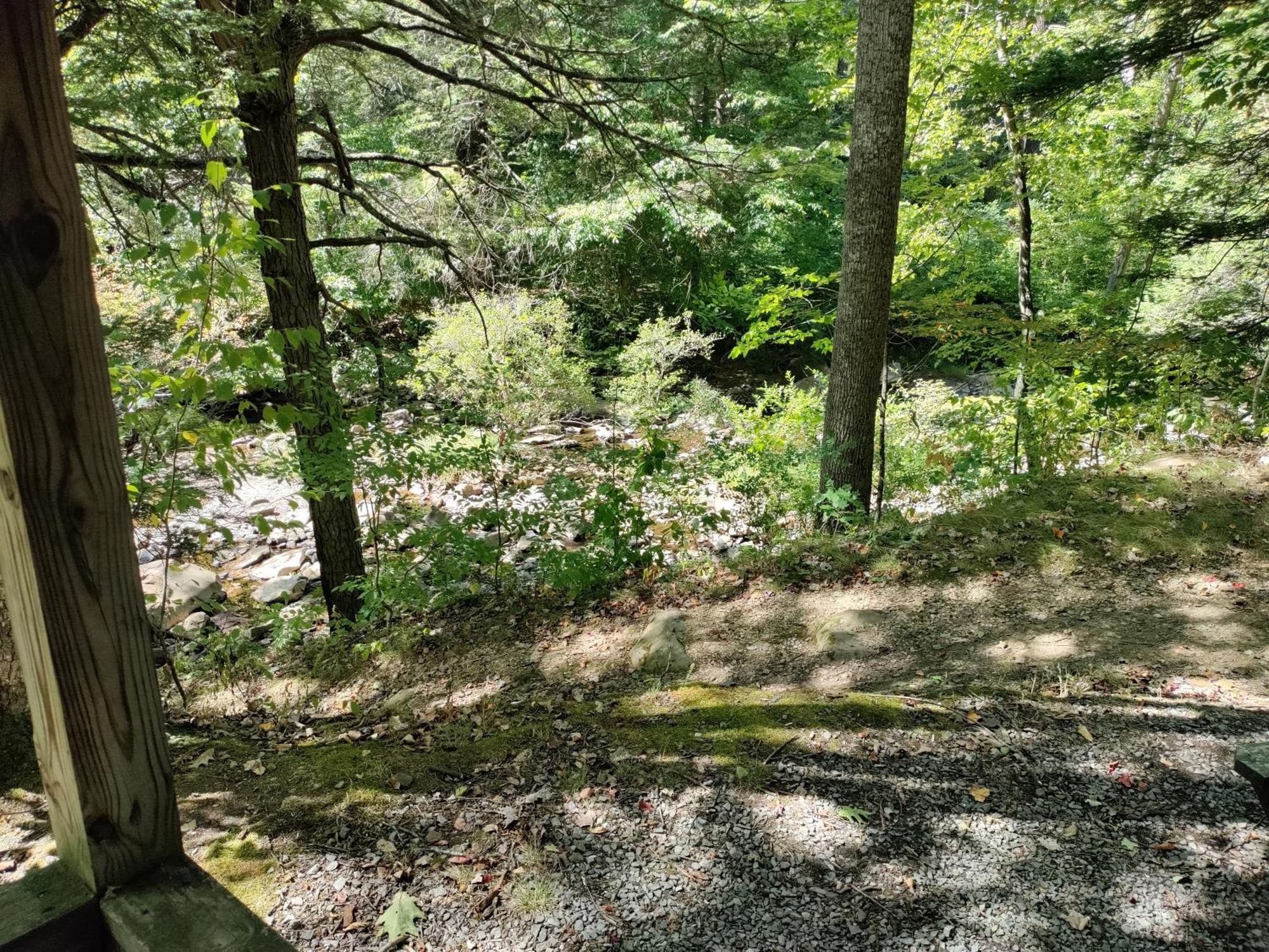 Abrams Creek Campground Mount Storm Ngoại thất bức ảnh
