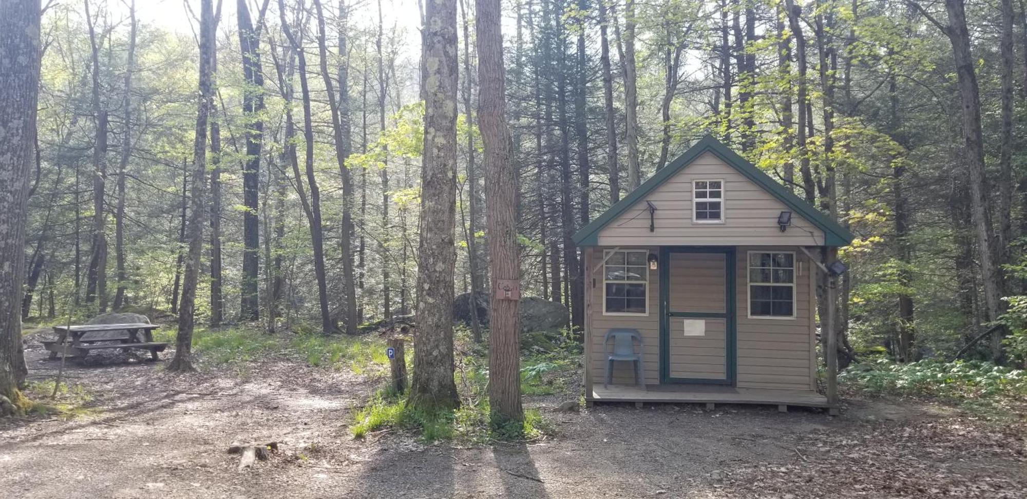 Abrams Creek Campground Mount Storm Ngoại thất bức ảnh