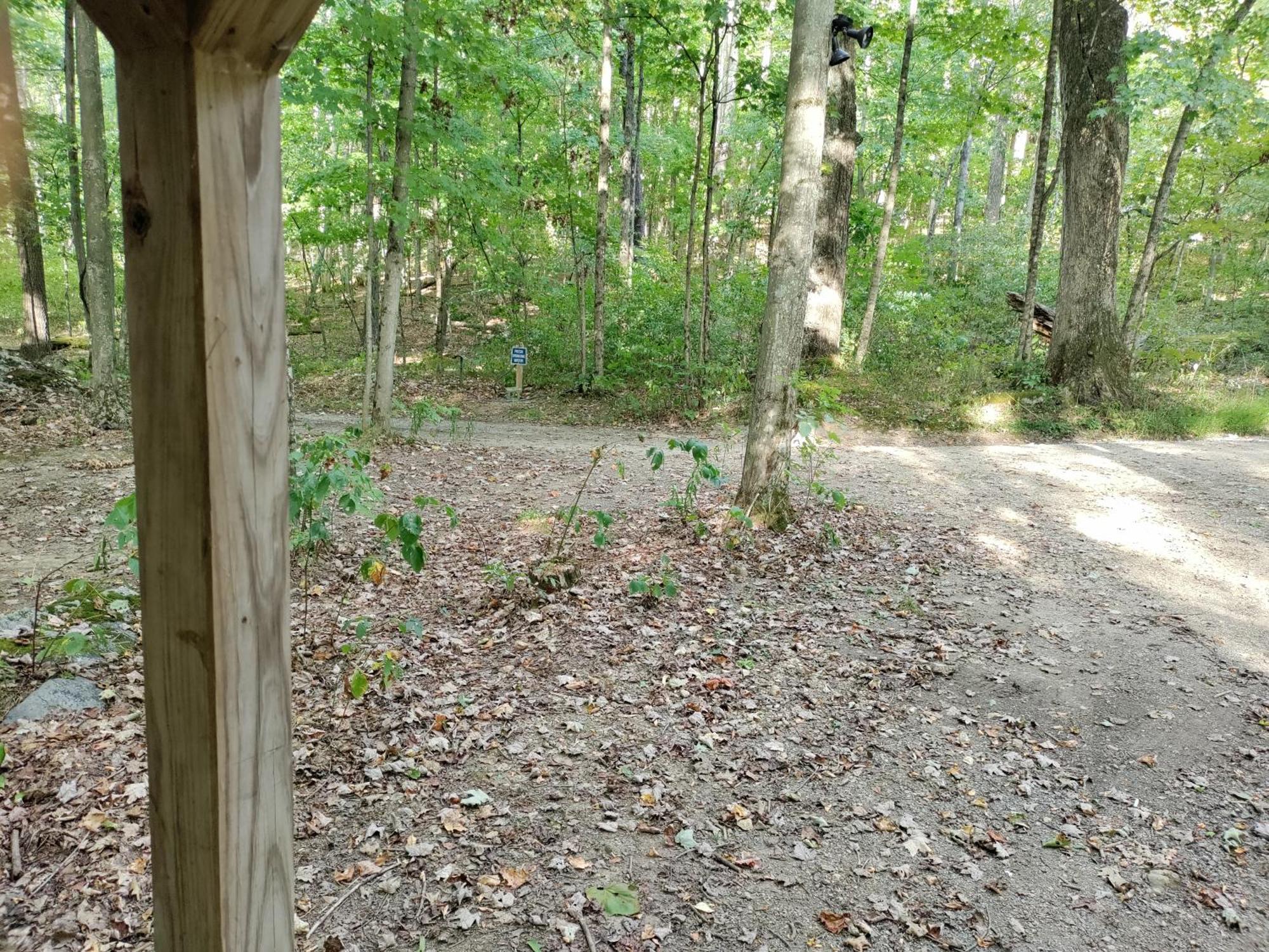Abrams Creek Campground Mount Storm Ngoại thất bức ảnh