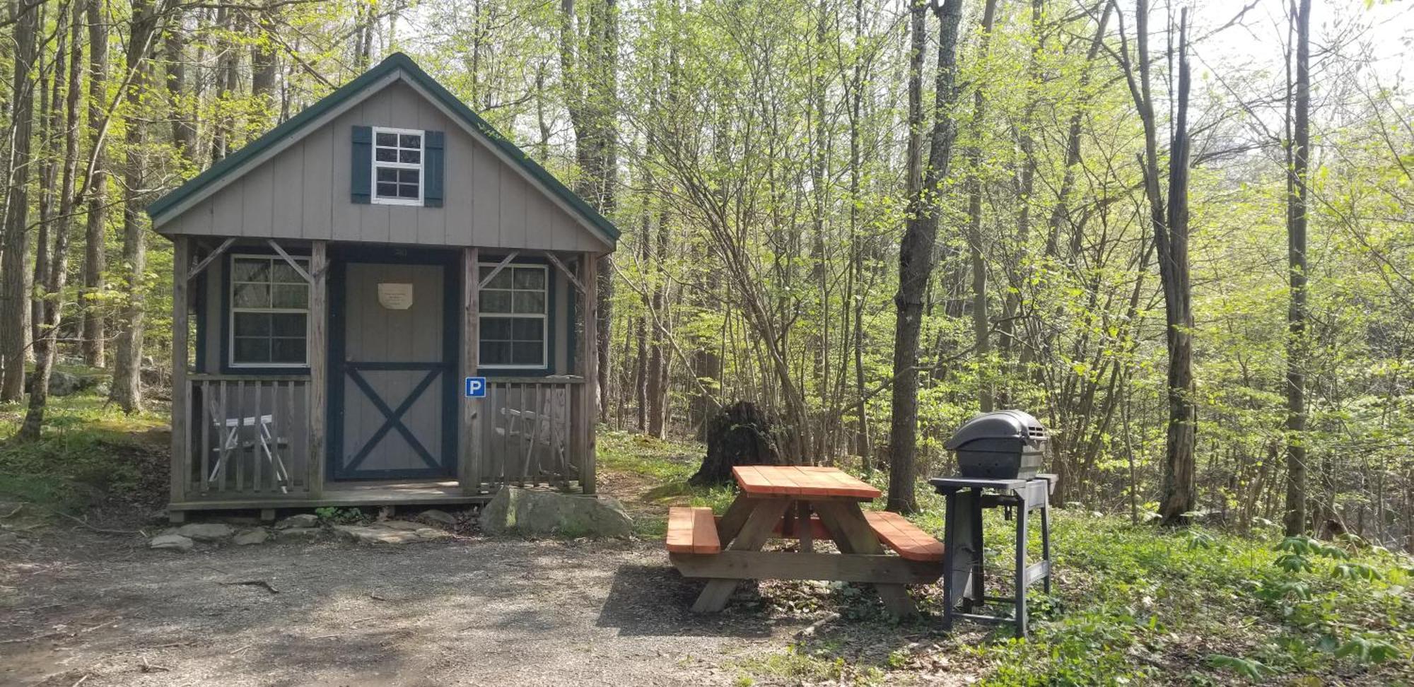 Abrams Creek Campground Mount Storm Ngoại thất bức ảnh